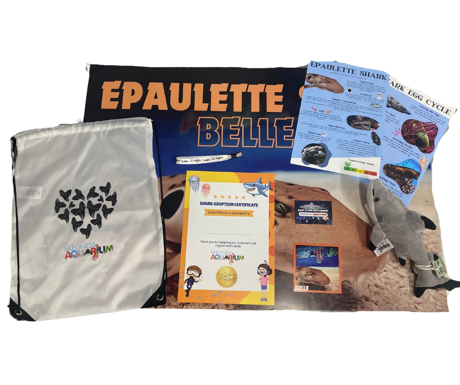 Epaulette Shark Adoption Pack
